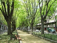 定禅寺通り 定禅寺通り